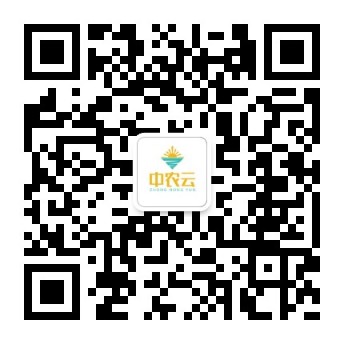 官方公众号